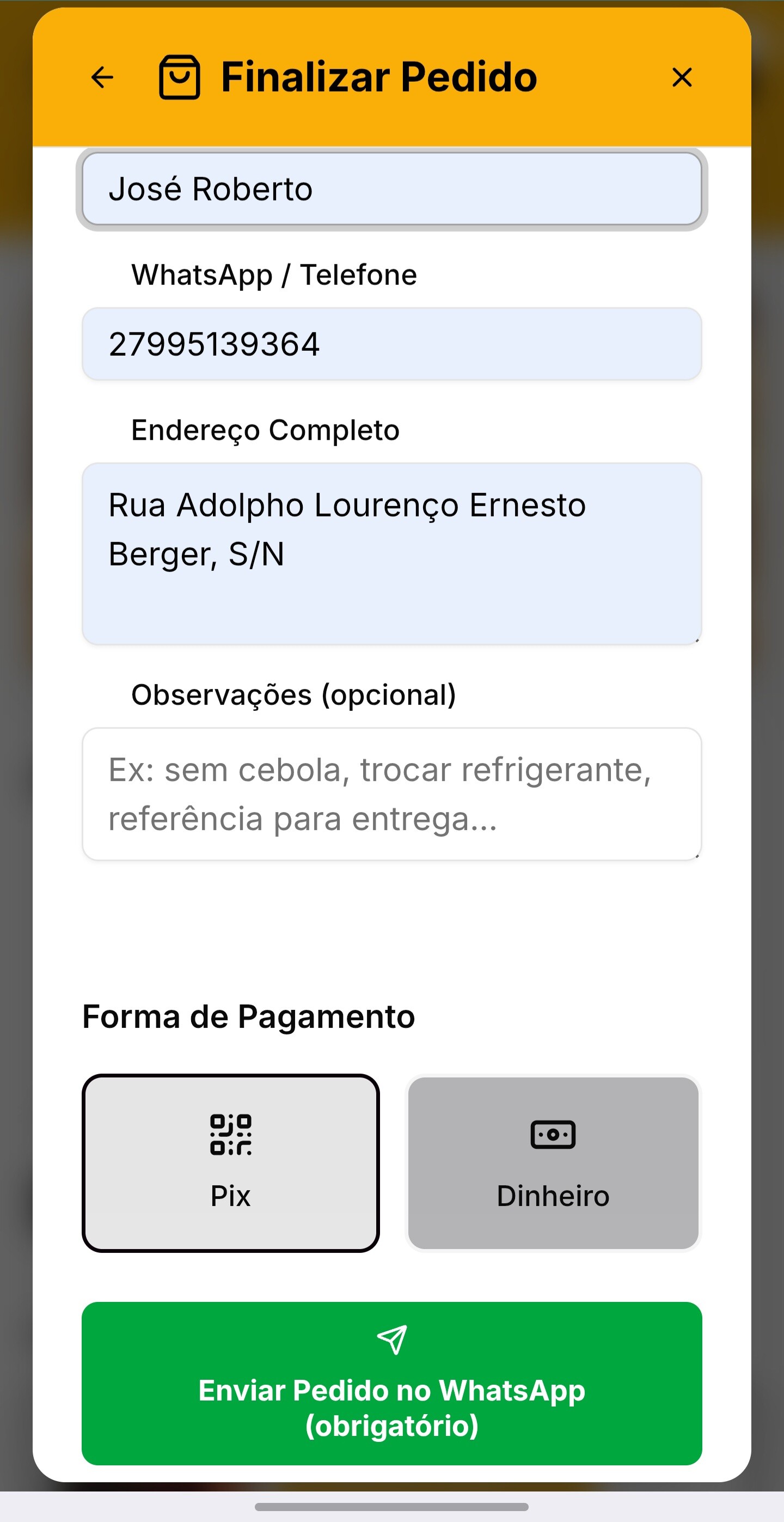 Finalizar pedido (dados/pagamento)